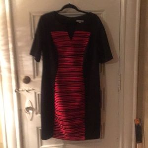 Dressbarn Woman Dress